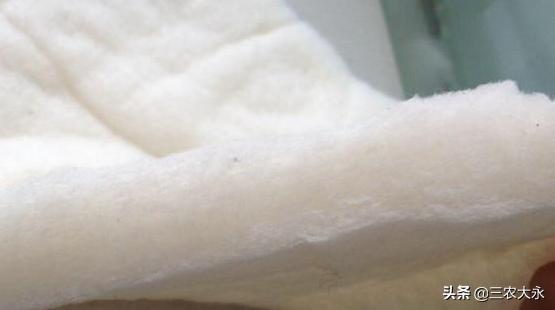 最简单孵化小鸡没有细沙,孵化小鸡教程不用孵化箱