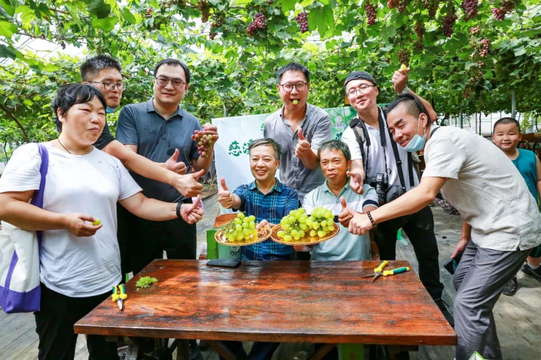 文旅资讯站｜慈溪市第十六届葡萄节暨灾后复产现场会顺利举行