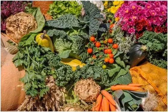 中年大肚子的正确减肥方法,中年人大肚腩有什么办法瘦