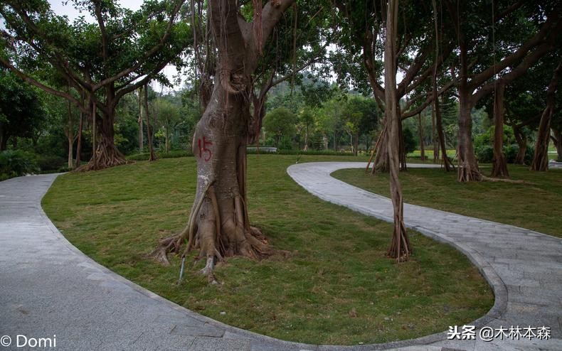 珠海两天一夜旅游景点,珠海港珠澳大桥观光一日游