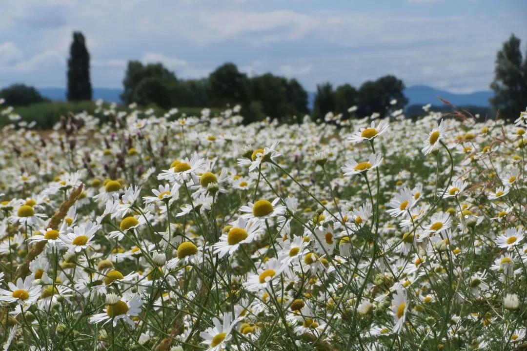 过敏角质层受损,过敏角质层损坏