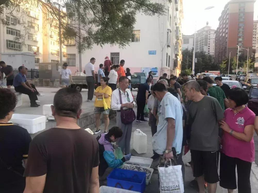 威海海鲜开海期,威海开海海鲜便宜还是贵