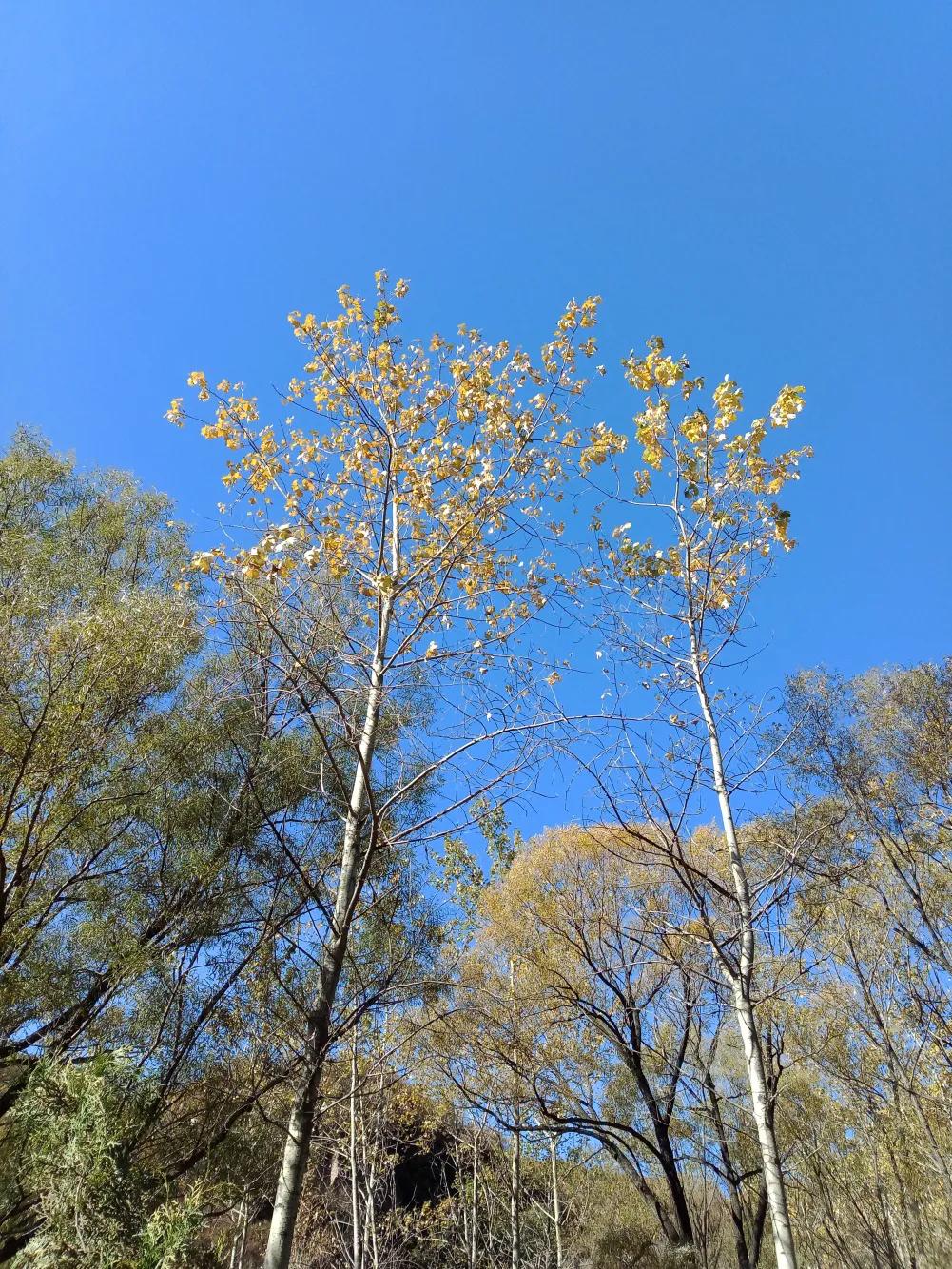 碧岩龙泉山庄,万柏林龙泉山庄