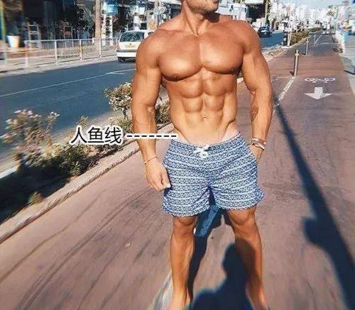 人鱼线和马甲线,人鱼线和马甲线在哪里