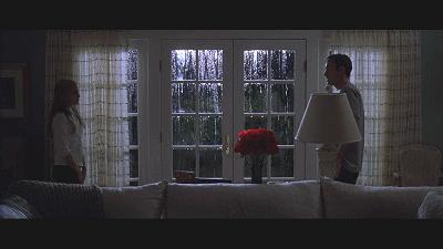 美国丽人风格,美国丽人美国风