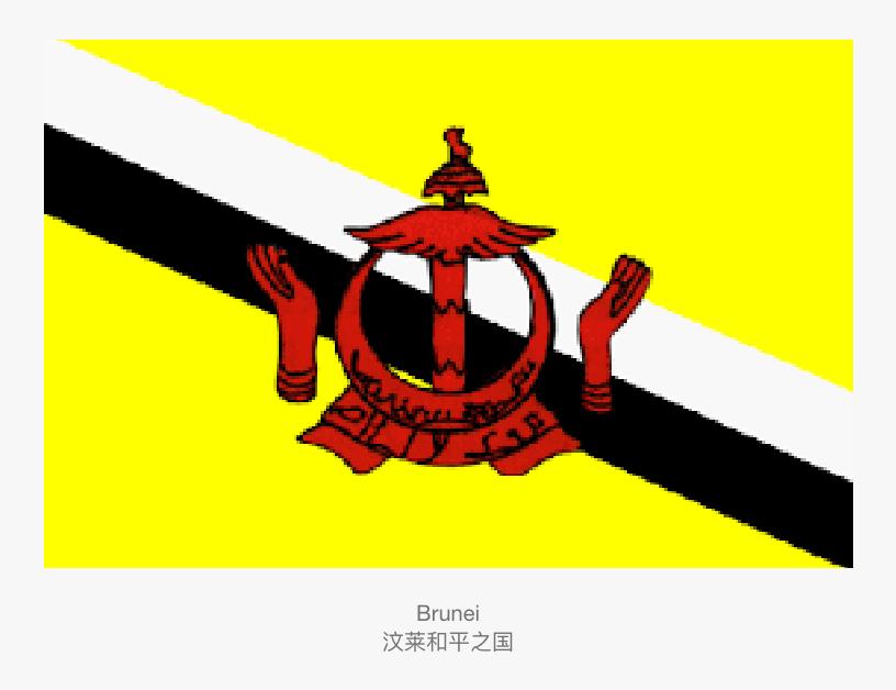 亚洲国家国旗有哪些,亚洲国家国旗讲解