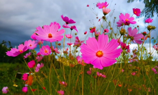 云南禄丰旅游线路攻略图,云南冬季自驾游最佳线路图