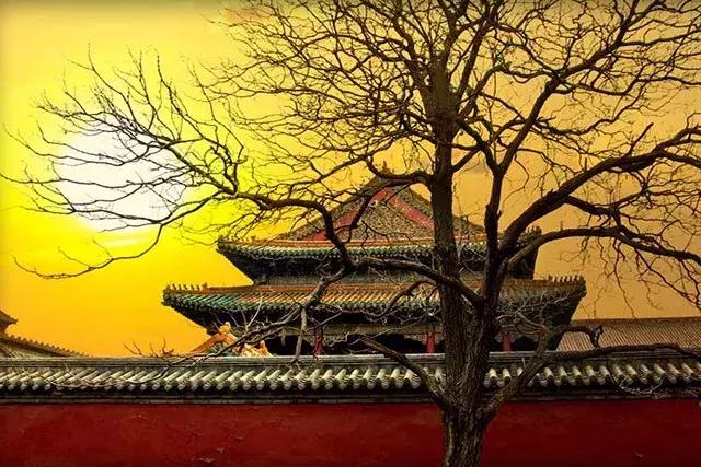 真正聪明的人，会驱除这四种“心中贼”