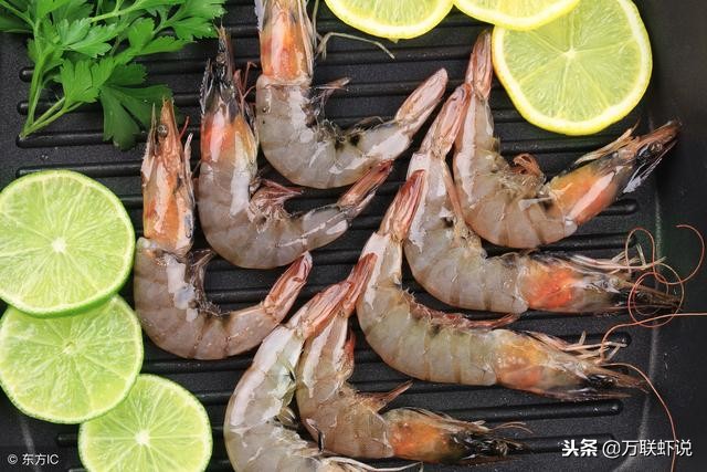 南美白对虾知识,关于南美白对虾的讲解