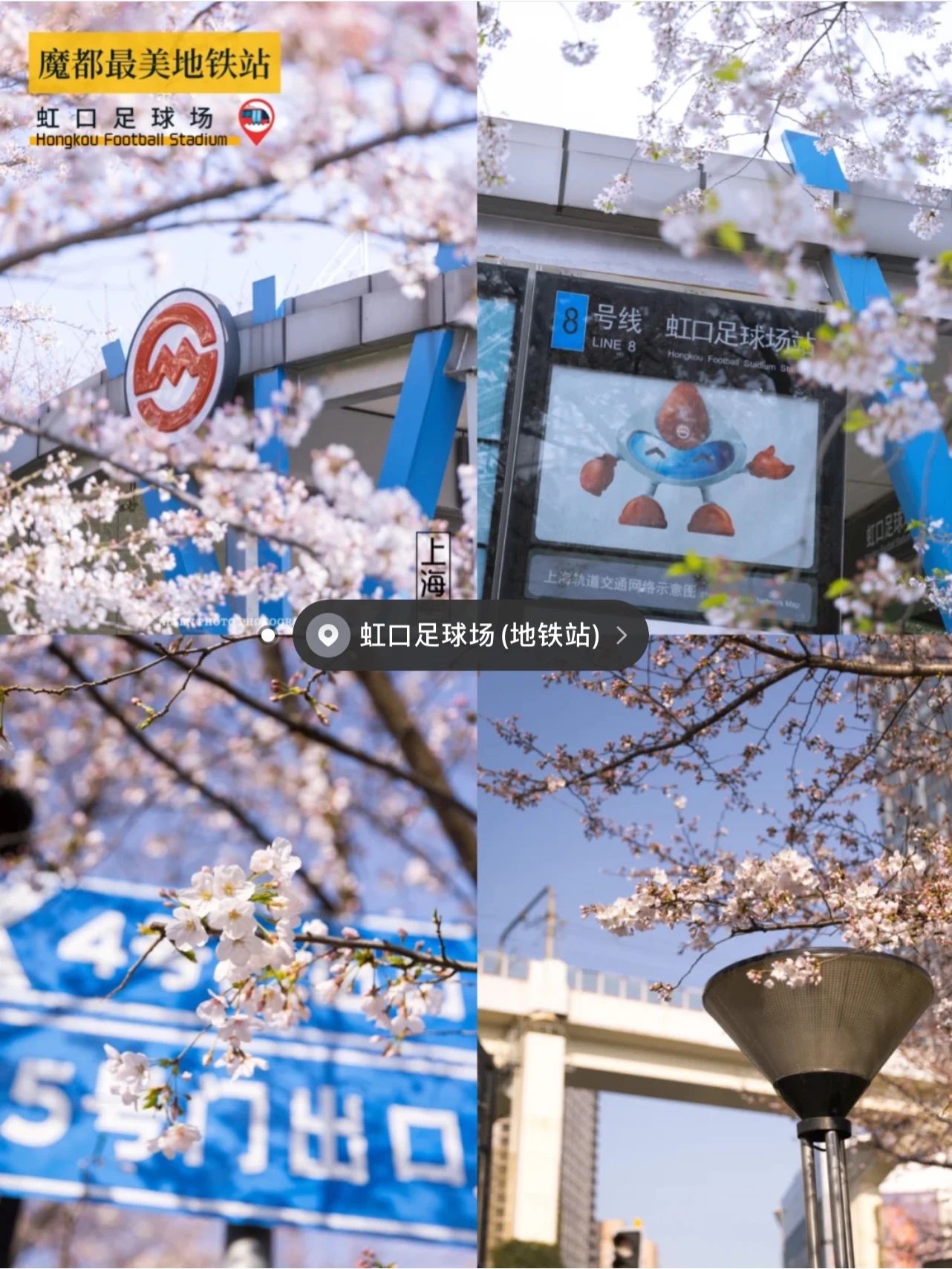 上海的热搜,最近热搜的上海