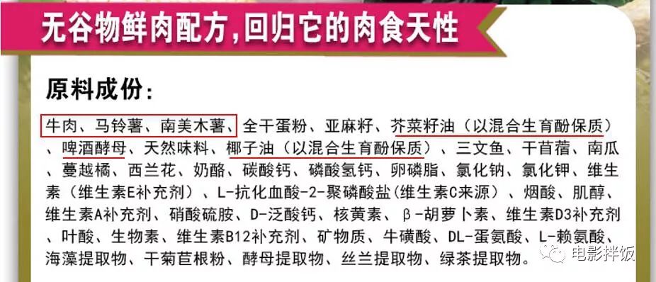 新手养猫注意事项以及幼猫到新家,新手养猫养什么猫又便宜又好养