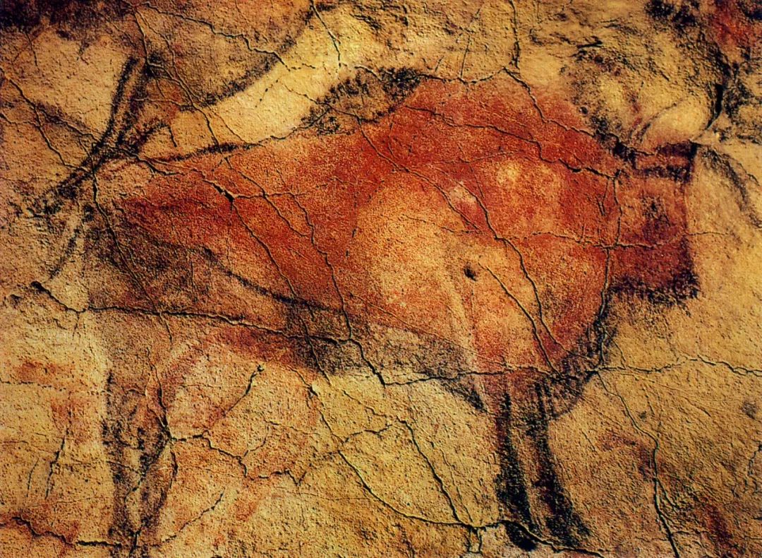 装饰是一门艺术,装饰生活美学