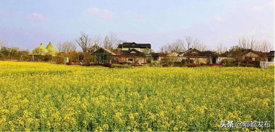 红光新城西安市,红光新城