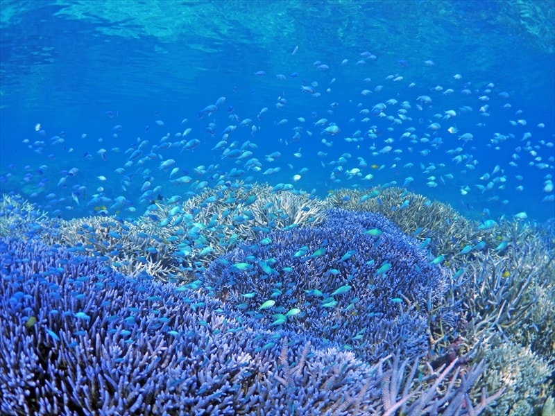 冲绳离岛推荐,移居冲绳正确方法