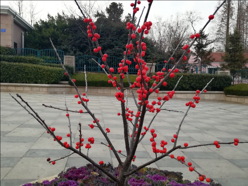 【喇哈二三事】青岛流口水叫“哈喇子”，颠倒“哈喇”指流口水人