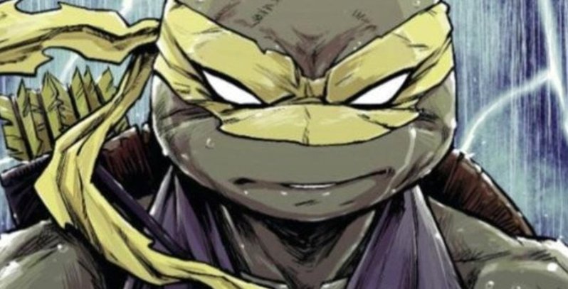 忍者神龟4第几集神龟变异,忍者神龟进化史