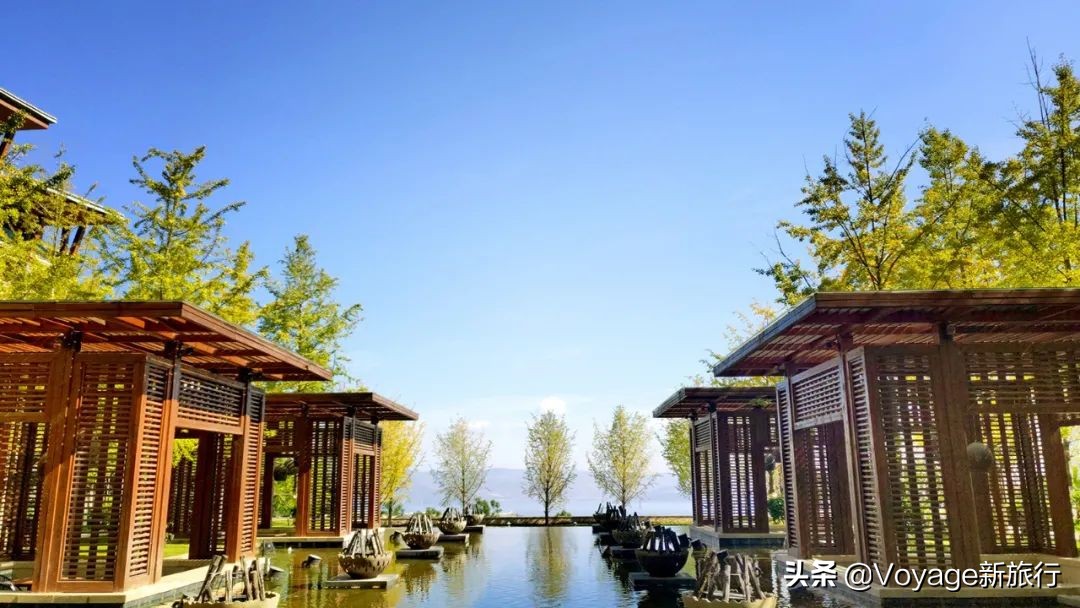 微信步数今天有但是之前的是0,今日微信步数为0