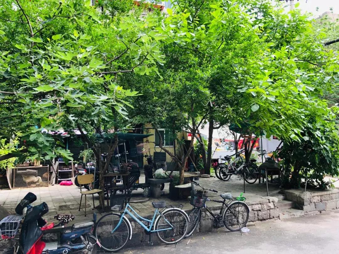 生活在济南城市怎么样才能快乐,生活在老城区的感受