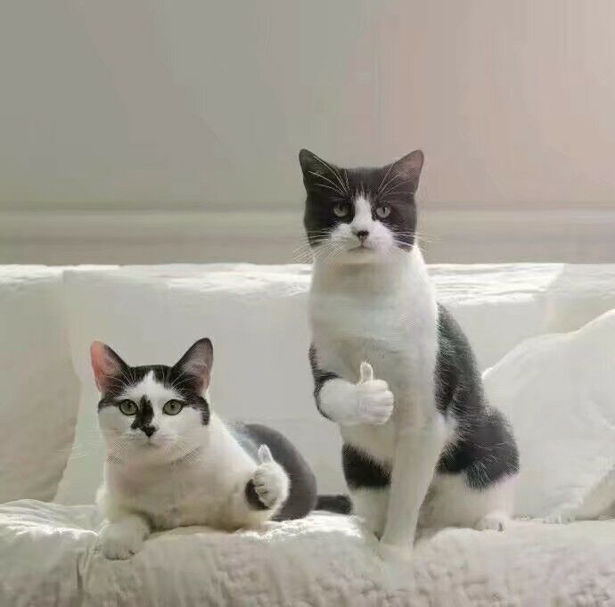 中国第一艘机器兵船,与海军的不解之缘