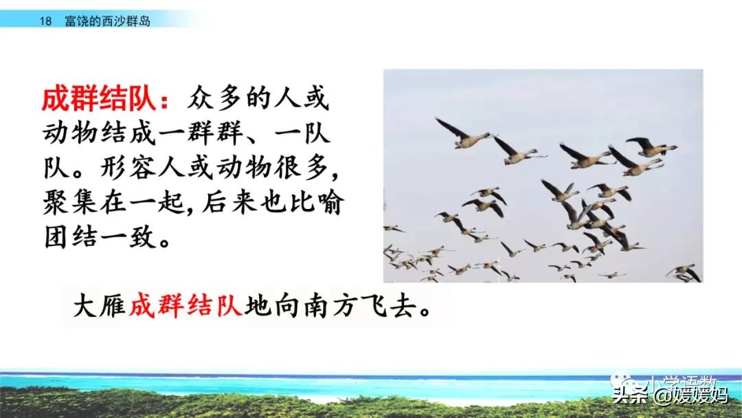 三年级第18课富饶的西沙群岛视频,三年级上册18富饶的西沙群岛笔记