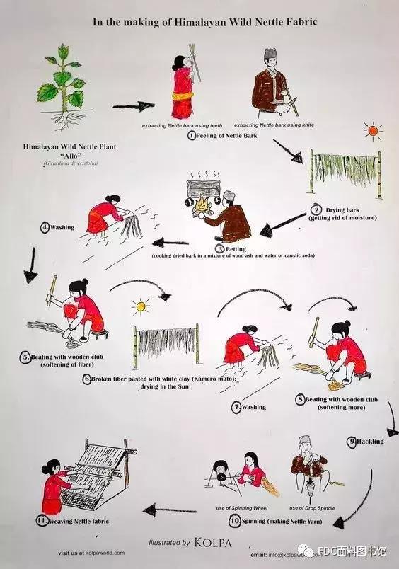 能用来制作面料的植物知多少？（下）