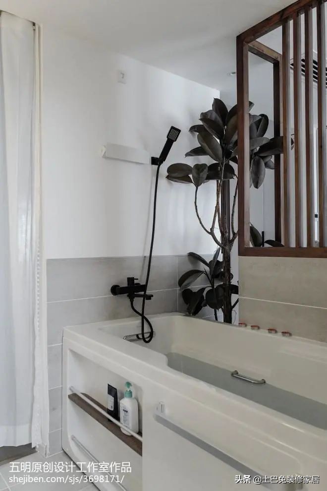 十款居家可养的植物,招财又好养的植物