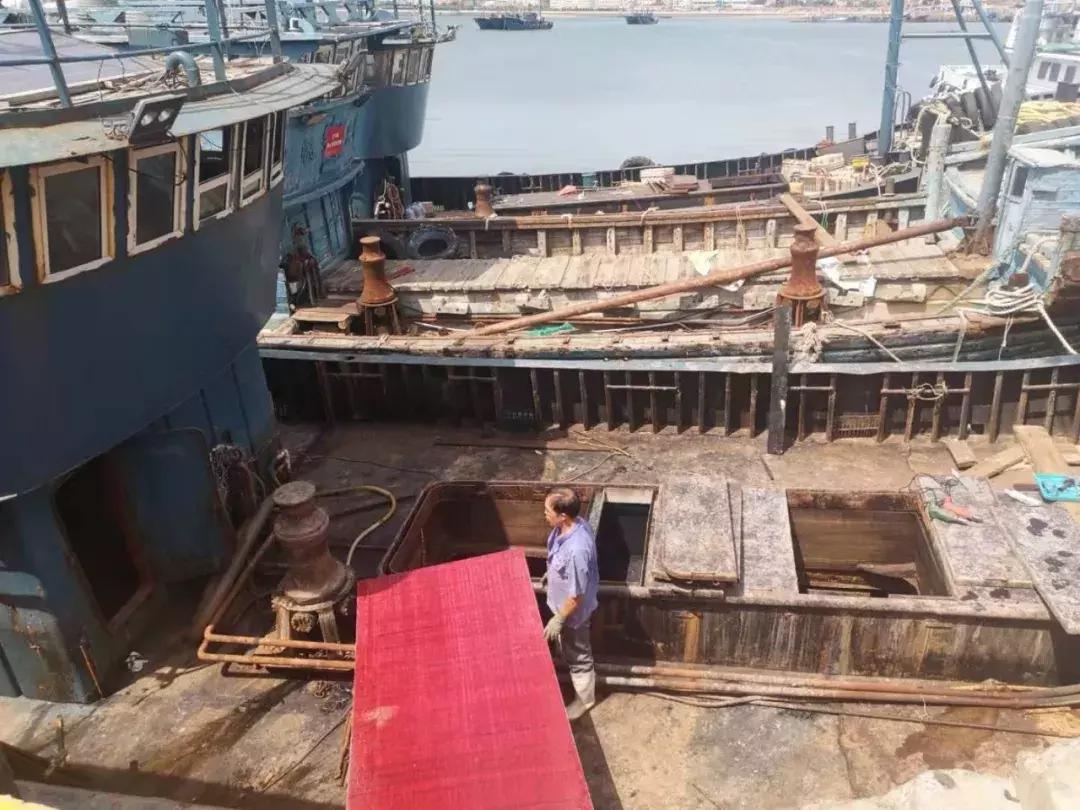 青岛开海了新鲜肥美的海鲜已上市,青岛开海红岛海鲜八大关