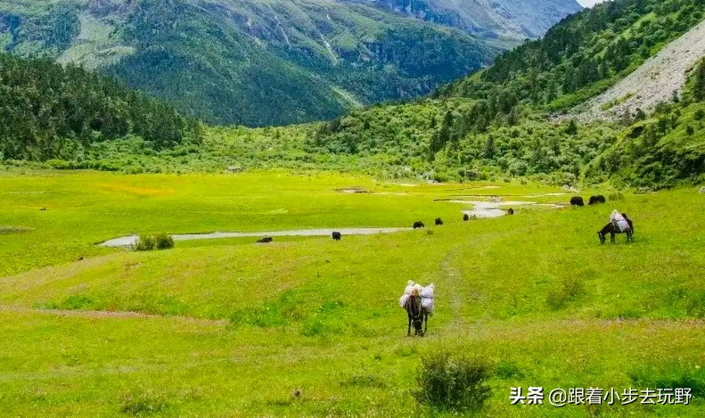 洛克线一生必走的徒步路线,川西洛克线徒步之旅