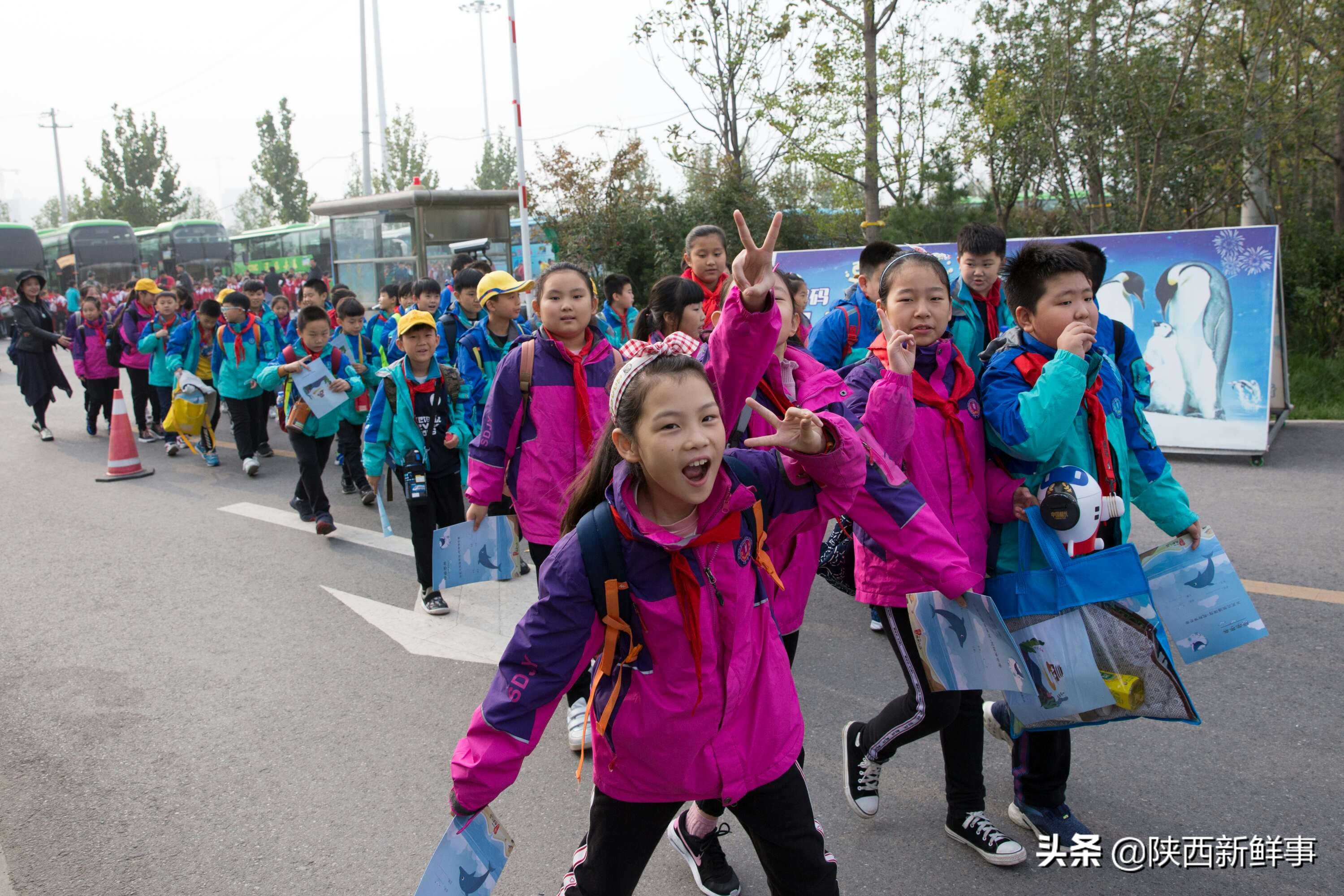 放飞海洋梦想感受丝路传奇手抄报,放飞海洋梦想感受丝路传奇研学题