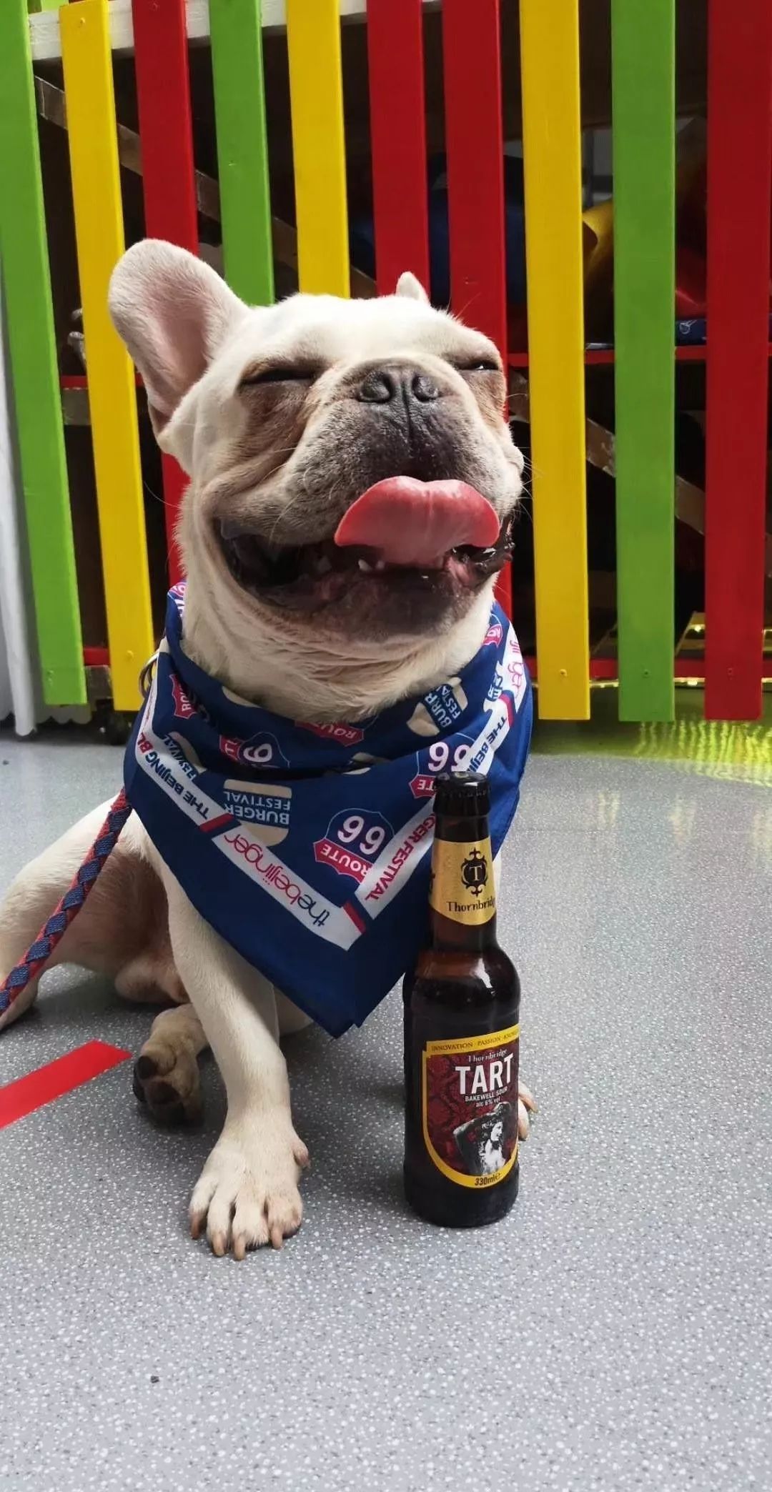 真敢玩！这次北京披萨节他们披着床单就来了