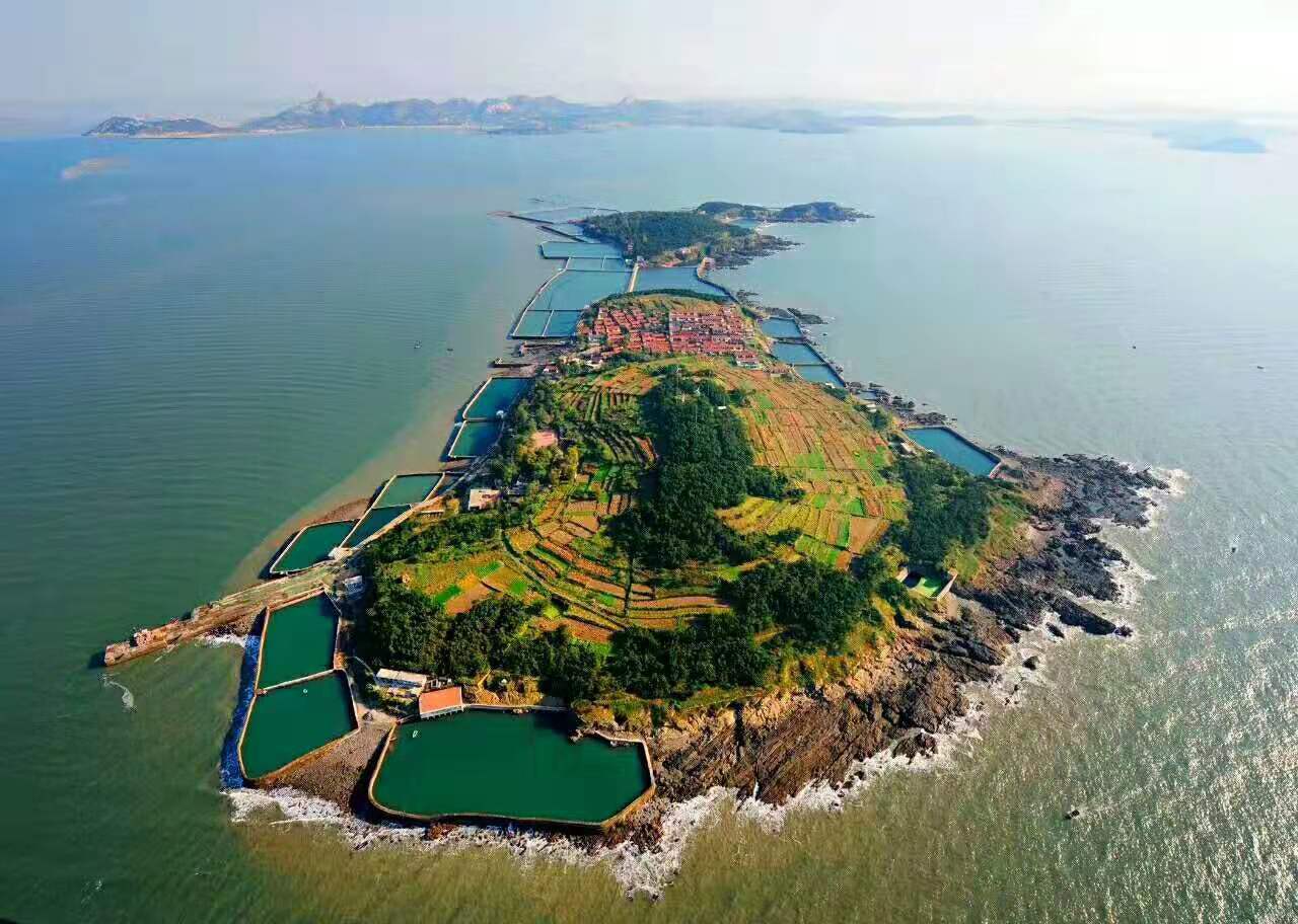 乳山牡蛎怎么做好吃,乳山牡蛎做汤怎么做最好喝