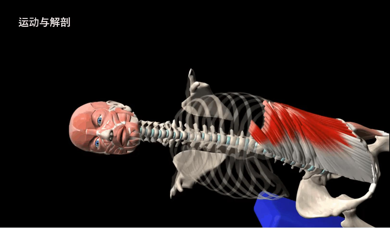 给大家示范一下练腹肌最好办法,又快又有效又简单的腹肌怎么练