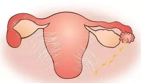 移植失败不甘心,移植失败不知道怎么面对家人