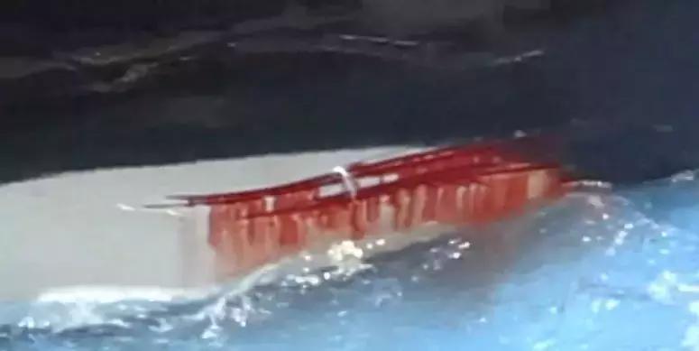 小飞象真实事件,小飞象的真实故事