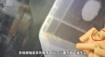 10元3个汉堡华莱士开封,华莱士10元3个汉堡怎么回事