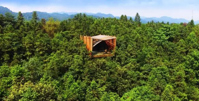 特色树屋民宿度假屋设计方案,很有创意的木屋