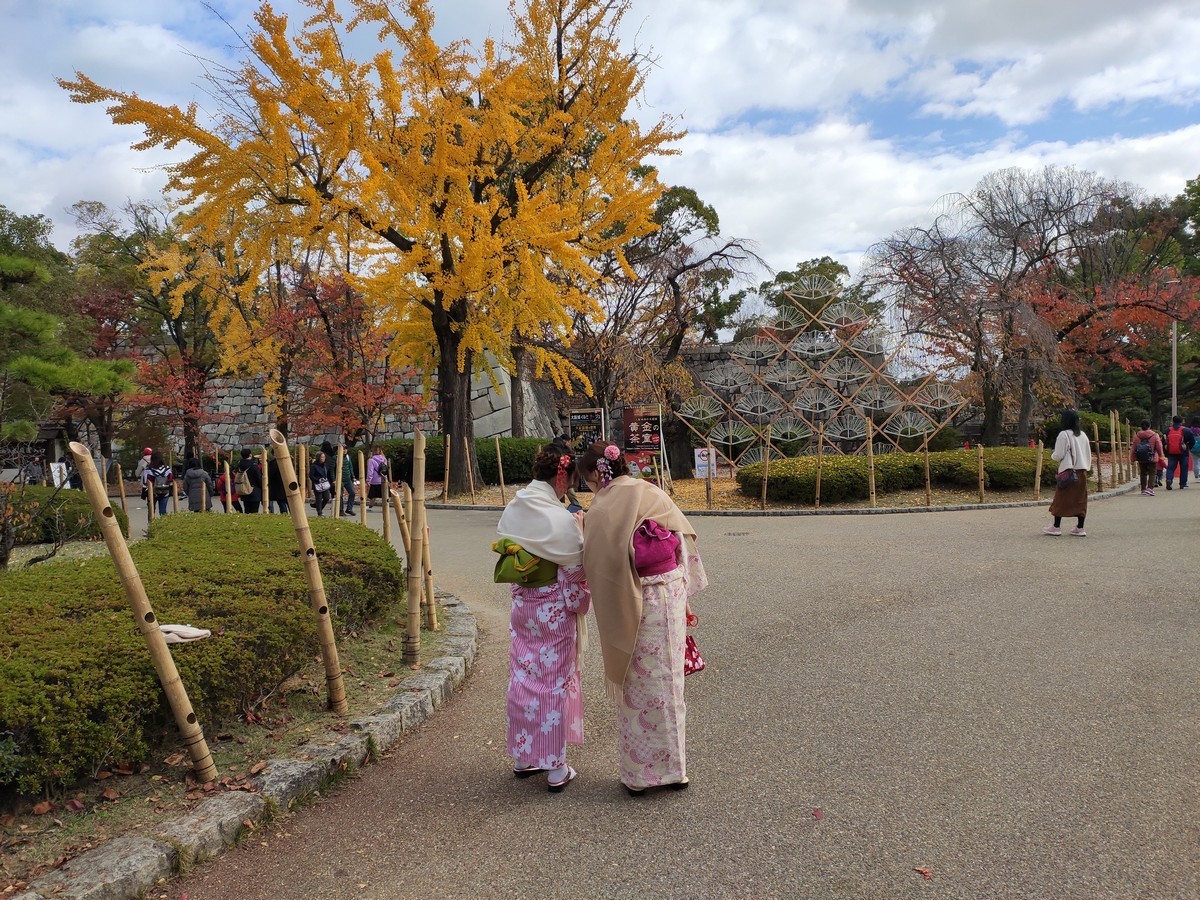 大阪马拉松跑道多少公里,日本大阪马拉松赛道怎么样