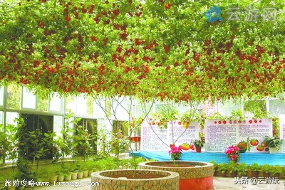 珠海人气旅游景点有哪些,珠海旅游十大景点推荐最新