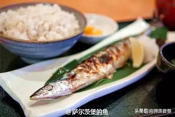 各种寿司纯鲜三文鱼刺身,日本传统寿司都用什么鱼