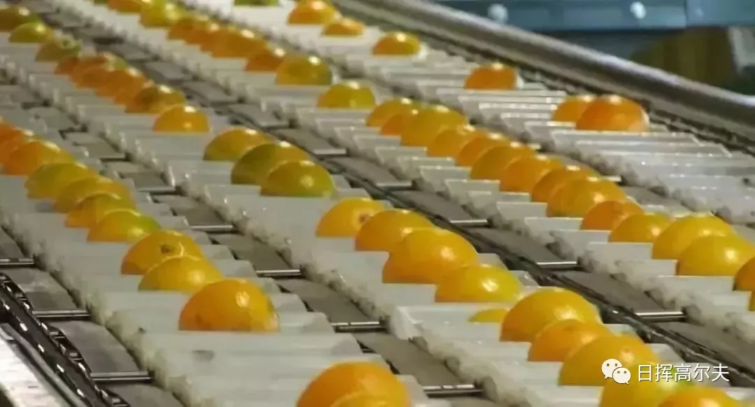 20个日本农场案例,日本最成功的主题农场