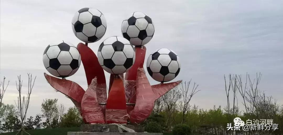 白沙湾足球基地比赛,2016哥德杯青少年足球赛开幕式