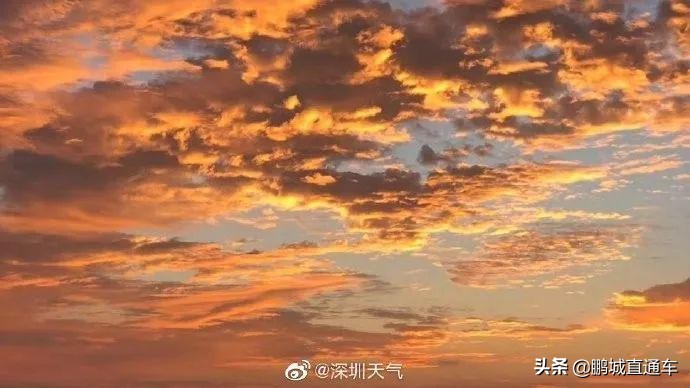 昨天深圳晚霞喜提热搜！美爆了，一大波晚霞图片来袭