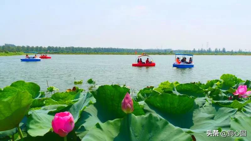 家乡的质感,铜山怎么样