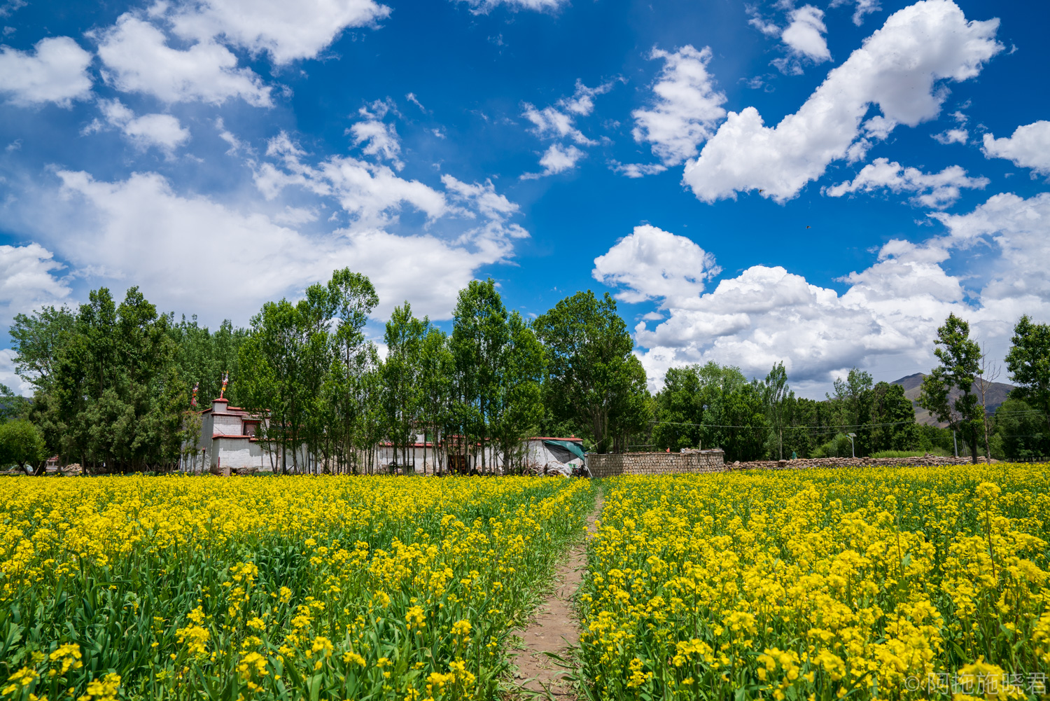拉萨小众寺庙视频,拉萨最美的寺庙