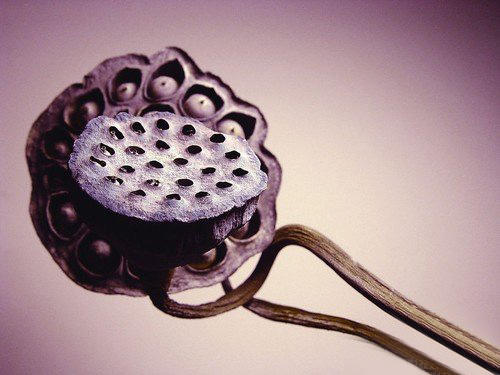 如何拍出清晰感照片,怎么拍摄清晰锐利照片