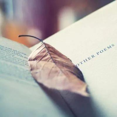 小小尘埃小小确幸是什么意思,一颗尘埃原创作品