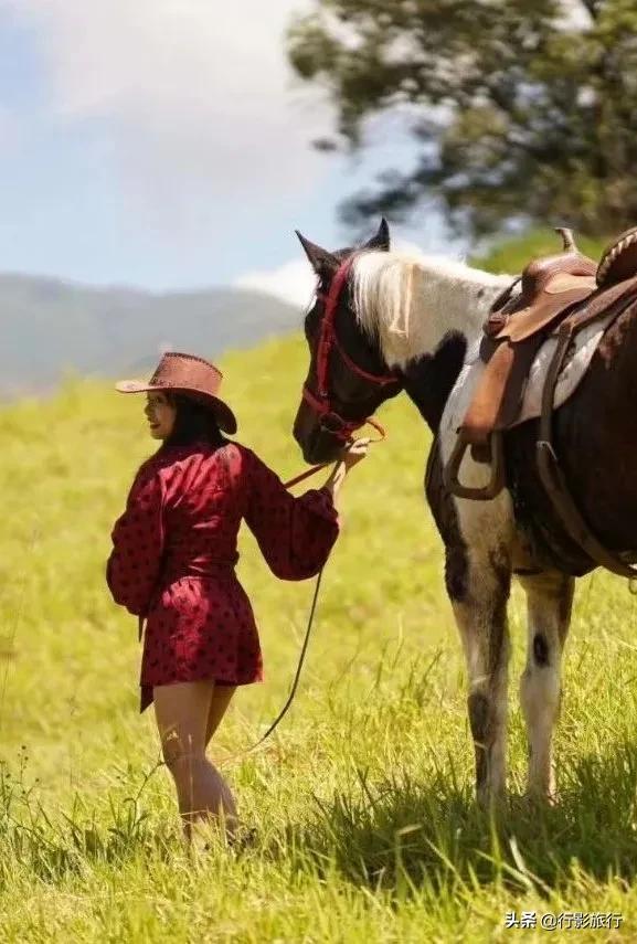 云南的西双版纳州怎么样,云南西双版纳景区怎么样