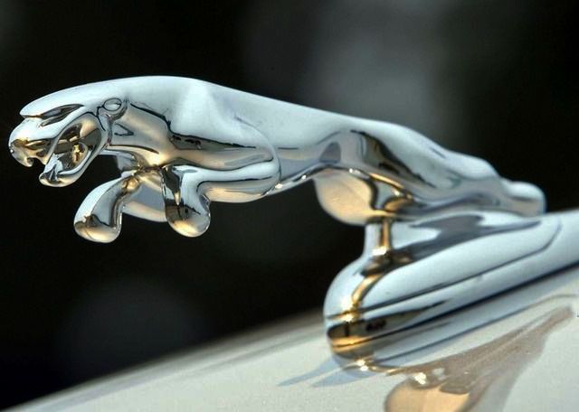 d级车捷豹,捷豹d级车最新报价