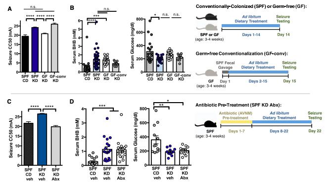 利用宿主分泌的粘蛋白“为食”的Akk菌