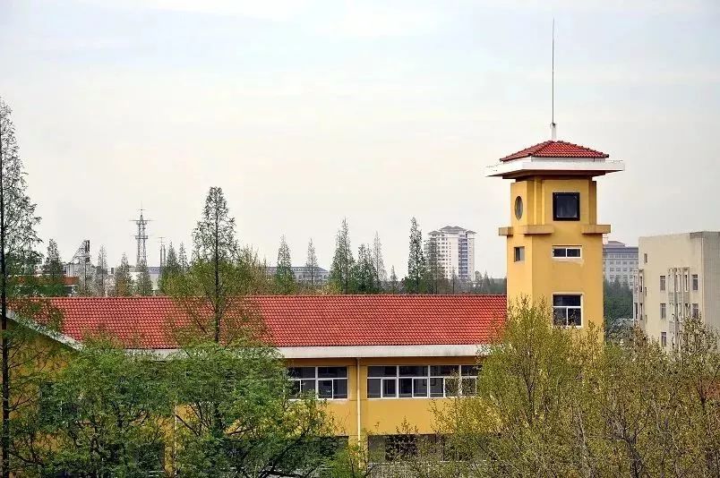 南京名校排名大学,南京各大名校排行